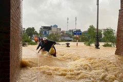 Tính đến sáng 29/10, mưa lũ đã làm 3 người chết, thành phố Đà Nẵng 2 người, Lâm Đồng 1 người. (Ảnh: nhandan.vn)
