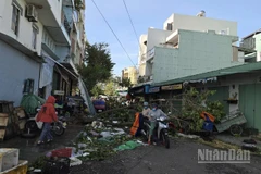 Tính đến 11 giờ ngày 7/11, bão số 13 đã gây thiệt hại nặng nề về người và tài sản tại các tỉnh Tây Nguyên và khu vực duyên hải Trung bộ.