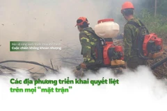 Mùa hanh khô, nguy cơ cháy rừng luôn rình rập, đe dọa “lá phổi xanh” của đất nước.