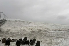 Theo Trung tâm Dự báo khí tượng thủy văn quốc gia, hồi 13 giờ ngày 8/11, bão Fung-wong đang hoạt động trên vùng biển phía đông miền trung Philippines, có sức gió mạnh cấp 13, giật cấp 16.