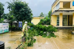 Tính đến 17 giờ ngày 8/11, bão số 13 đã gây thiệt hại nặng nề tại khu vực Tây Nguyên và tỉnh Quảng Ngãi.