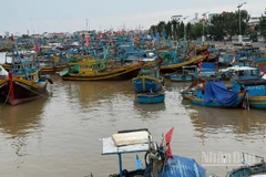 Ban Chỉ đạo Phòng thủ dân sự quốc gia đã yêu cầu các tỉnh, thành phố từ Đà Nẵng đến Khánh Hòa và các bộ, ngành liên quan khẩn trương triển khai các biện pháp ứng phó cấp bách với bão số 13.