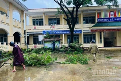 Thiệt hại ban đầu do bão số 13 gây ra tính đến tối 6/11 đã có 2 người bị thương trong lúc gia cố nhà cửa và di chuyển đồ đạc tại phường Quy Nhơn và xã Tuy Phước (tỉnh Gia Lai).