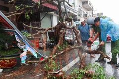 Bão số 10 kèm mưa lớn, sạt lở, giông lốc đã gây hậu quả nghiêm trọng tại nhiều tỉnh, thành phố từ miền núi phía bắc đến miền trung.