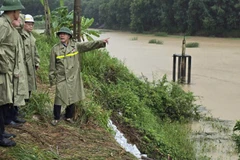 Đoàn công tác của Bộ Nông nghiệp và Môi trường đi kiểm tra sự cố hồ chứa nước Nam Bình Thượng, thuộc thôn Nam Bình 1, xã Bình Sơn , tỉnh Quảng Ngãi. (Ảnh: Cục Quản lý đê điều và Phòng, chống thiên tai)