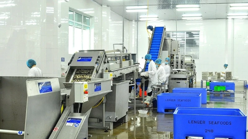 Dây chuyền sản xuất sản phẩm OCOP Nghêu thịt hộp Lenger tại Nhà máy chế biến thủy sản của Công ty TNHH Thủy sản Lenger Việt Nam ở thành phố Nam Định, tỉnh Nam Định.