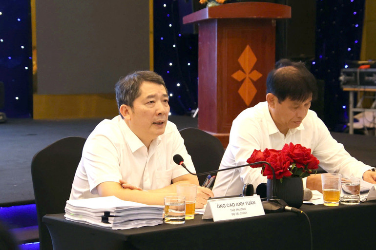 Thứ trưởng Bộ Tài chính Cao Anh Tuấn phát biểu tại hội nghị. 1.jpg