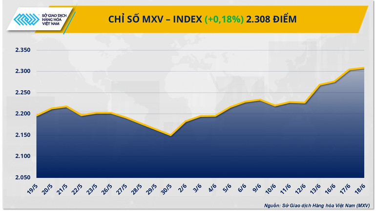 mxv-index.png