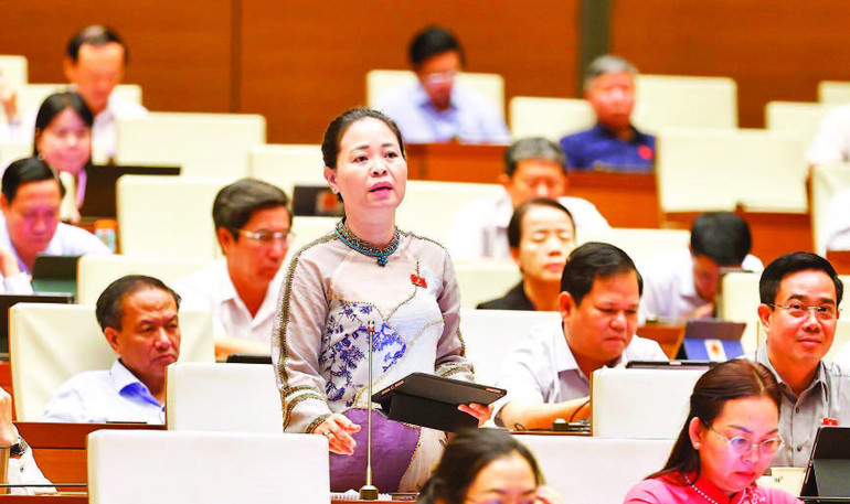 Đại biểu Quốc hội thảo luận về dự án Luật sửa đổi, bổ sung một số điều của Luật Doanh nghiệp. Ảnh: TTXVN 7.jpg