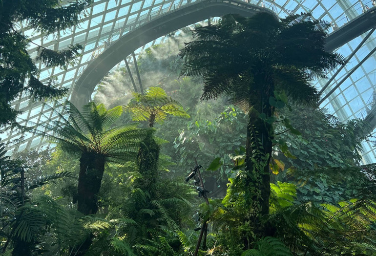 Không gian xanh tại Gardens by the Bay hướng tới bảo vệ môi trường (Ảnh: Khánh Linh)