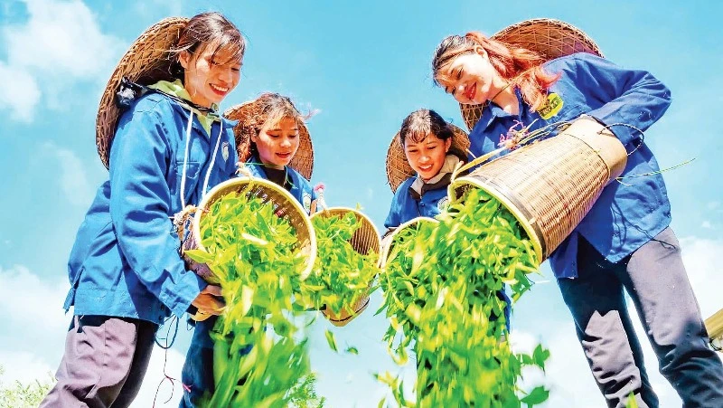 Kon Plông: Hướng tới trung tâm du lịch sinh thái và cộng đồng kiểu mẫu Tây Nguyên