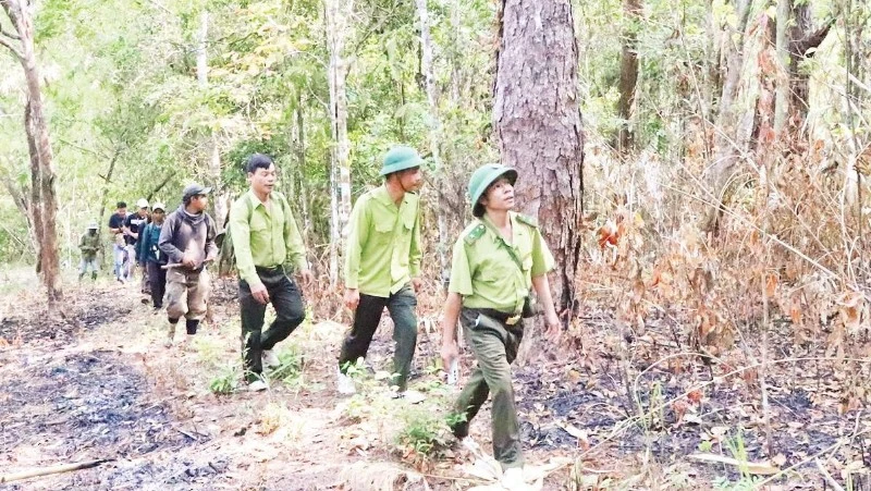 Giải Thưởng 'Người Giữ Rừng Chư Yang Sin' Mùa 3: Vinh Danh Sự Hy Sinh Giữa Đại Ngàn