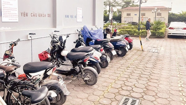 Xe điện được ưu tiên bố trí khu vực sạc riêng biệt.