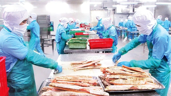 Thủy sản chế biến là mặt hàng xuất khẩu chủ lực đóng góp rất lớn cho tổng kim ngạch xuất khẩu của cả nước.