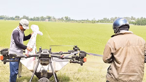 Nông dân xã Mỹ Thành, tỉnh Đồng Tháp sử dụng máy bay không người lái, để chăm sóc đồng ruộng.