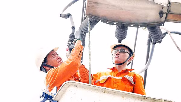 Công nhân ngành điện Thành phố Hồ Chí Minh sửa chữa, kiểm tra lưới điện để bảo đảm công tác cung cấp điện ổn định, liên tục.