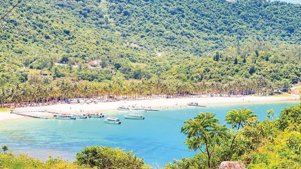 Các tàu du lịch phục vụ tour trong ngày tại Bãi Ông - Cù Lao Chàm.