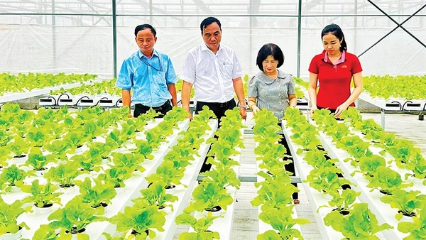 Khu Nông nghiệp công nghệ cao Thành phố Hồ Chí Minh góp phần hỗ trợ bà con nhiều giống cây trồng và công nghệ mới phục vụ cho nông nghiệp đô thị.