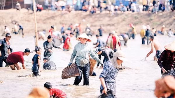 Người dân xã Lộc Thành nô nức xuống bàu nước bắt cá trong ngày hội Phá bàu.