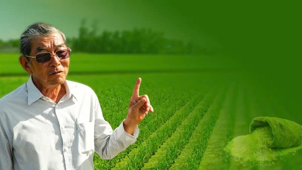 Khi hạt gạo trở thành “đại sứ nông nghiệp”