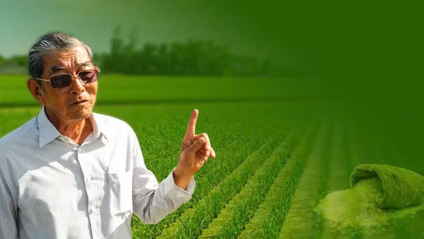 Khi hạt gạo trở thành “đại sứ nông nghiệp”