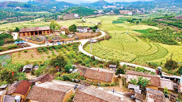 Một góc thôn Bắc Hoa.