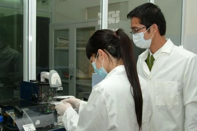 (Ảnh minh họa: CP)