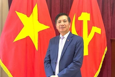 Đại sứ Việt Nam tại Malaysia Đinh Ngọc Linh. (Ảnh: TTXVN)