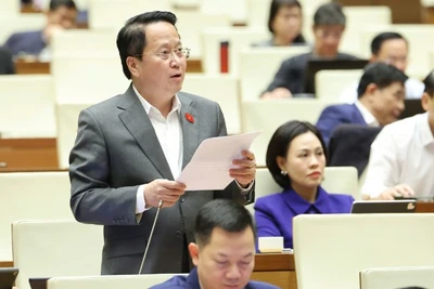 Đại biểu Hoàng Anh Công (Đoàn Thái Nguyên). (Ảnh: DUY LINH)