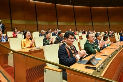 Đại biểu Quốc hội làm việc tại hội trường. (Ảnh: DUY LINH)