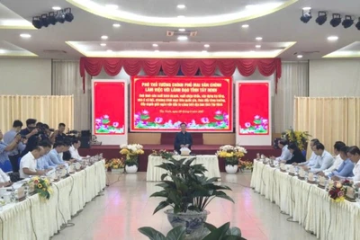 Đồng chí Mai Văn Chính, Ủy viên Trung ương Đảng, Phó Thủ tướng Chính phủ, cùng lãnh đạo các bộ, ngành liên quan làm việc với lãnh đạo tỉnh Tây Ninh.