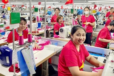 Hiện có 170 doanh nghiệp đang hoạt động trong các khu kinh tế, khu công nghiệp ở Nghệ An, với hơn 64.000 lao động đang làm việc.