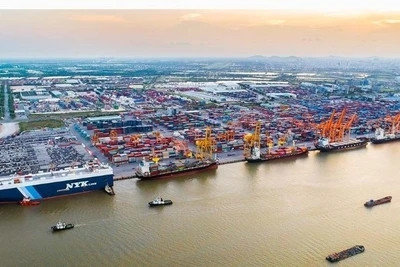 Cảng biển Hải Phòng lọt vào danh sách 100 cảng container năm 2025 có lưu lượng hàng hóa qua cảng lớn nhất thế giới do Tạp chí Lloyd's List của Anh công bố đầu tháng 9/2025. (Ảnh: LÊ ANH)