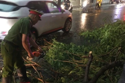 Công an phường Tây Hồ thu dọn cây xanh bị gãy đổ gây cản trở giao thông trên đường phố. (Ảnh: HỒNG NHUNG)