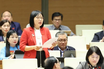 Đại biểu Nguyễn Thị Việt Nga (Phó trưởng Đoàn đại biểu Quốc hội chuyên trách thành phố Hải Phòng) phát biểu. (Ảnh: DUY LINH)