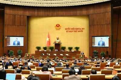 Quốc hội làm việc tại hội trường nghe Tờ trình và Báo cáo thẩm tra dự án Luật Giám định tư pháp (sửa đổi). (Ảnh: DUY LINH)