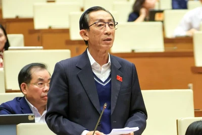 Đại biểu Trần Hoàng Ngân (Đoàn Thành phố Hồ Chí Minh). (Ảnh: DUY LINH)