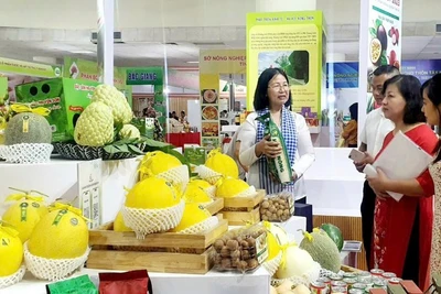 Sử dụng nền tảng số để bán hàng đã giúp nhiều cá nhân, hợp tác xã, đơn vị kinh doanh quảng bá và tiêu thụ được nhiều sản phẩm hơn.