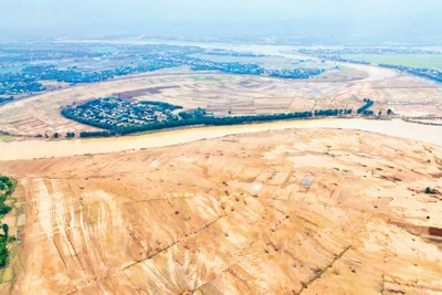 Khoảng 200ha đất canh tác ở xã Đại Lộc, thành phố Đà Nẵng, bị đất, cát bồi lấp. 