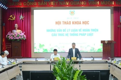 Thứ trưởng Tư pháp Nguyễn Thanh Tú phát biểu khai mạc hội thảo. (Ảnh: TL)