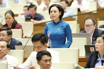 Đại biểu Trần Thị Hồng Thanh (Đoàn Ninh Bình) phát biểu tại hội trường. (Ảnh: DUY LINH)