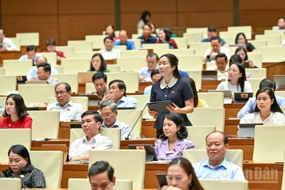 Đại biểu Trần Thị Thu Phước (Đoàn Kon Tum) phát biểu tại hội trường. (Ảnh: DUY LINH)