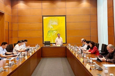Đại biểu Quốc hội thảo luận tại tổ về dự thảo Nghị quyết của Quốc hội về cơ chế xử lý khó khăn, vướng mắc do quy định của pháp luật. (Ảnh: H.LAN)
