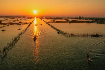 Vùng đầm phá Tam Giang-Cầu Hai, Huế luôn hấp dẫn du khách. (Ảnh LÊ HOÀNG)