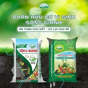 Phân bón hữu cơ Sông Giang (SOGICO)