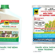 Thuốc bảo vệ thực vật Đầu Trâu