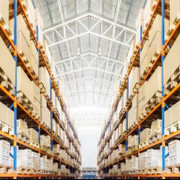 Kinh doanh vận tải và các ngành kinh tế biển Tân Cảng