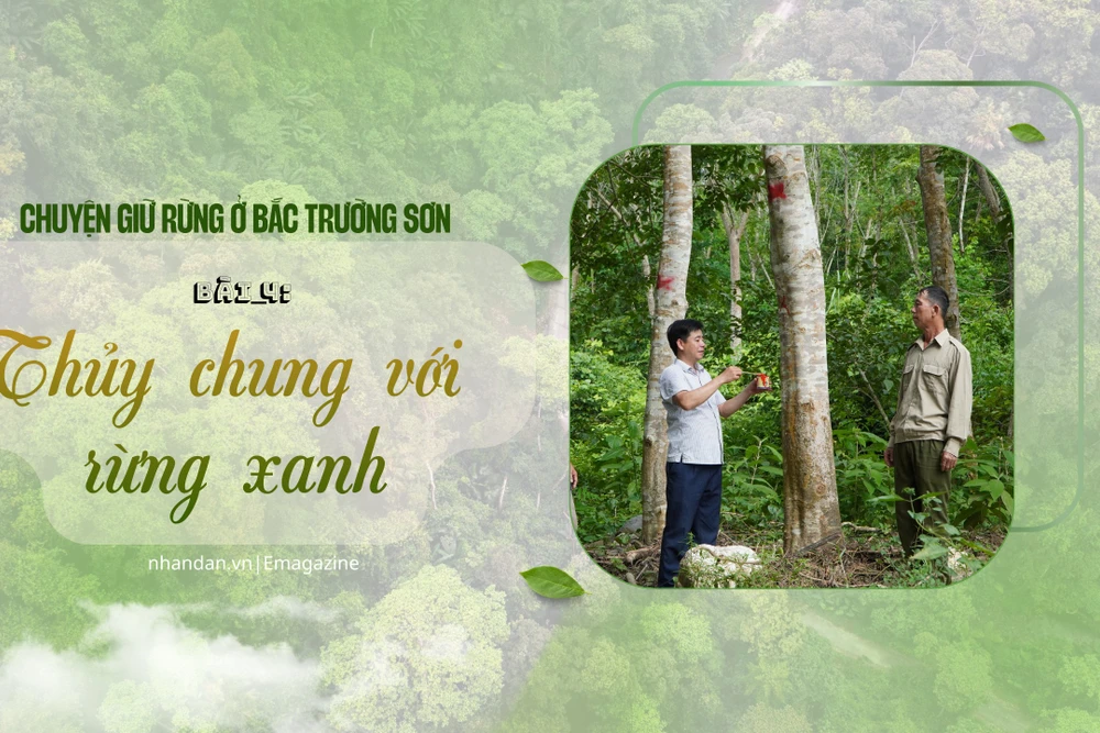 Bài 4: Thủy chung với rừng xanh