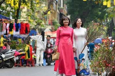 Lượng tìm kiếm đối với các điểm đến trong nước cho kỳ nghỉ Tết Nguyên đán 2026 tăng mạnh. (Ảnh: THÀNH ĐẠT)