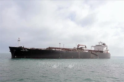 Tàu chở khí hóa lỏng Nanda Devi cập cảng Vadinar, bang Gujarat, Ấn Độ, sau khi di chuyển qua eo biển Hormuz ngày 17/3/2026. (Ảnh: TTXVN)